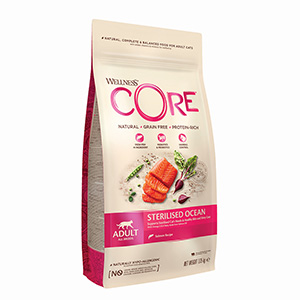 Wellness core ocean dog 2024 food