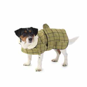House of Paws Green Tweed Dog Coat (Web Exclusive) | Pets At Home