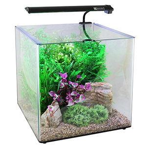 Aqua One Aqua Aspire 55 Glass Aquarium 55 Litre 