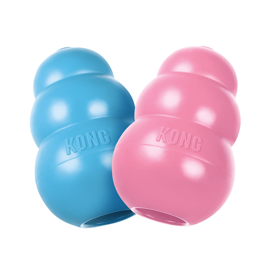 what to put in a kong puppy