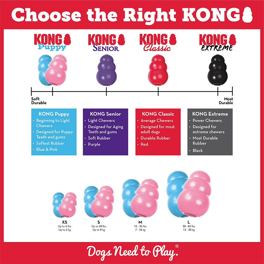 what do you put in kongs for puppies