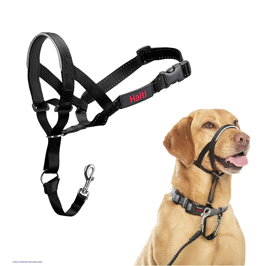 halti-dog-head-collar-pets-at-home