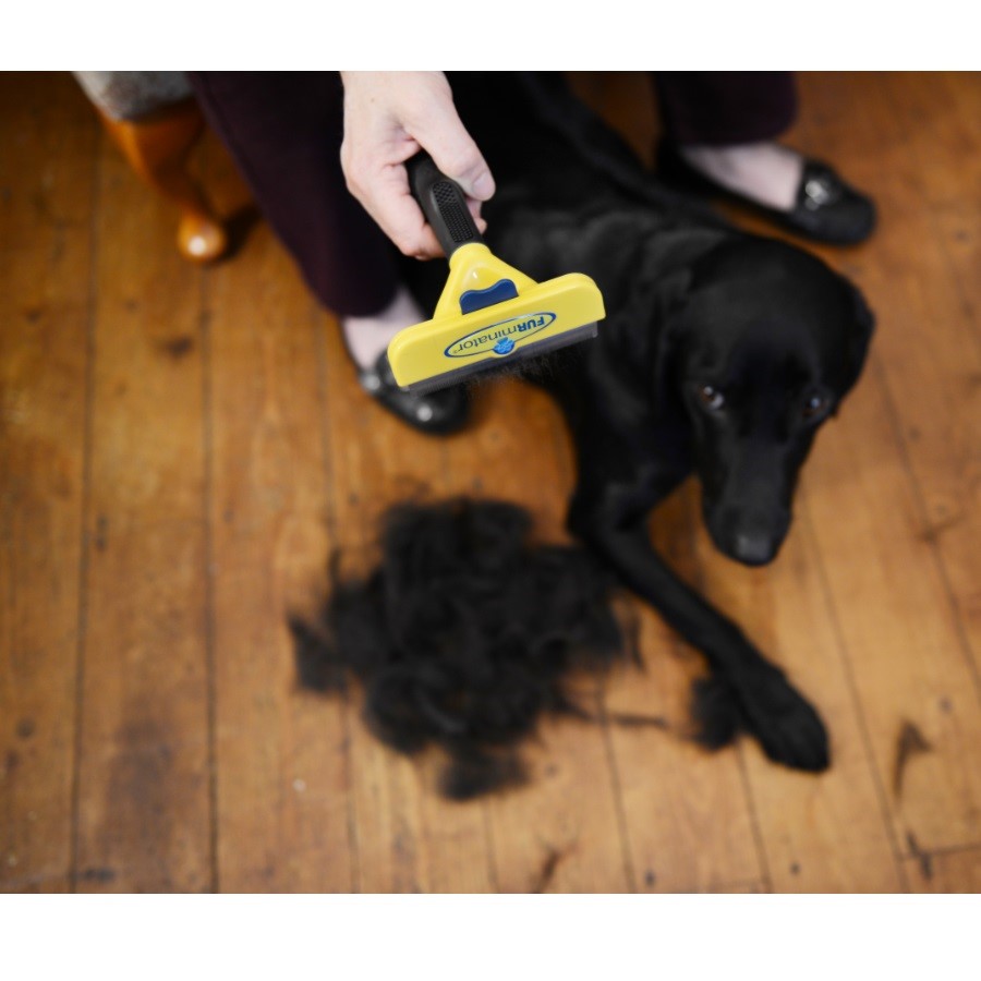 FURminator Long-Hair deShedding Tool for Dogs | Pets At Home
