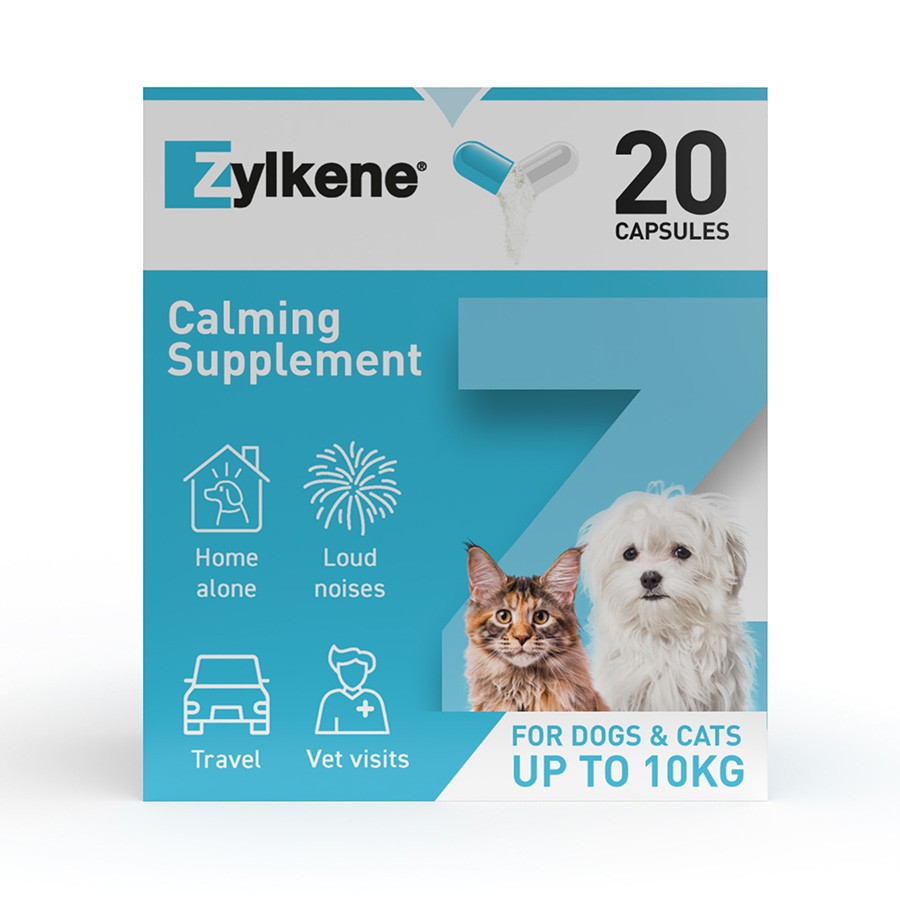 Zylkene 75mg for Cats and Small Dogs 20 Capsules | Pets At Home