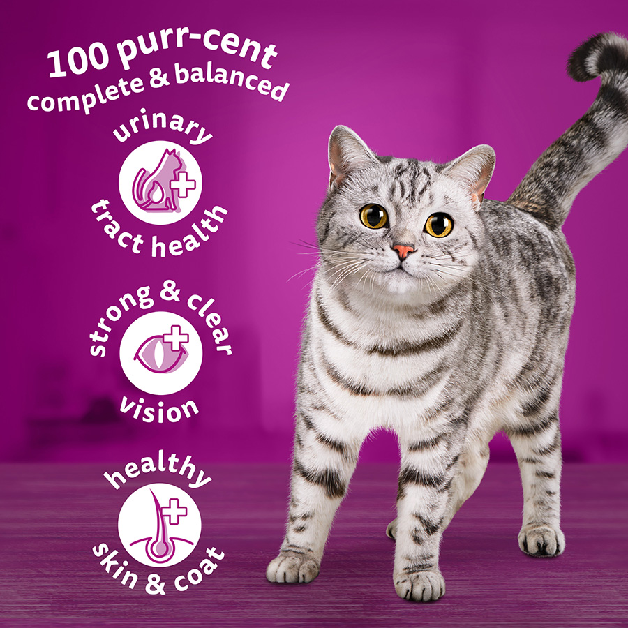 Whiskas Complete Dry Adult Cat Food Biscuits Chicken Kg Pets At Home