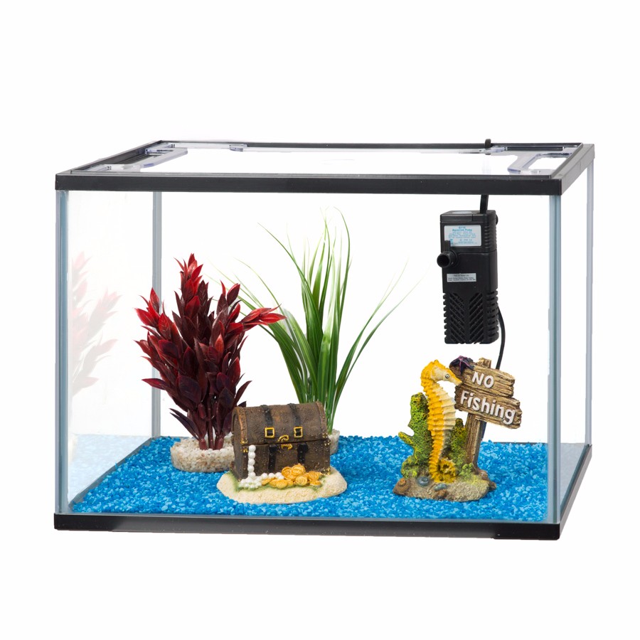 Pets At Home Kids Aquarium With Filter 24 Litre Pets At Home focus for Extraordinary pets at home fish tank decor you must have
