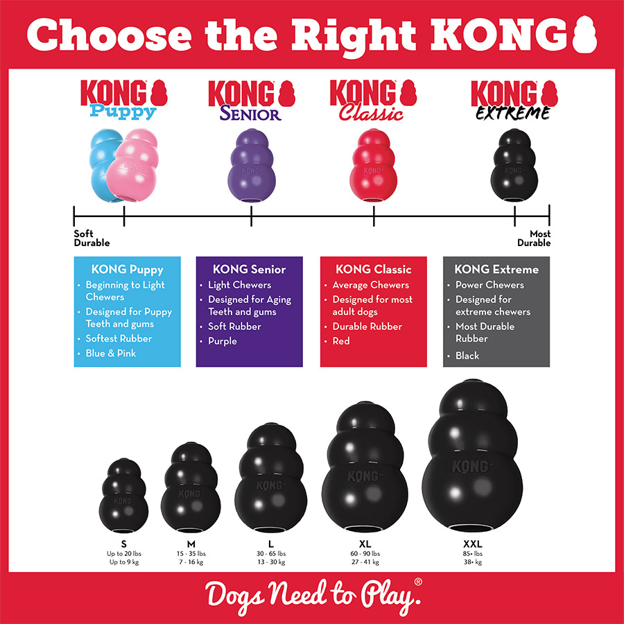 treats for kong toys