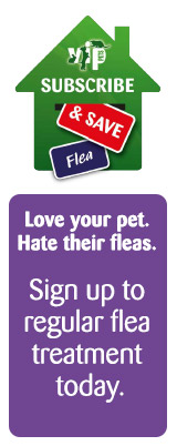 pets at home flea treatment