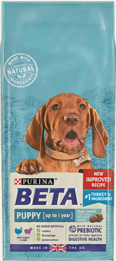 purina beta puppy