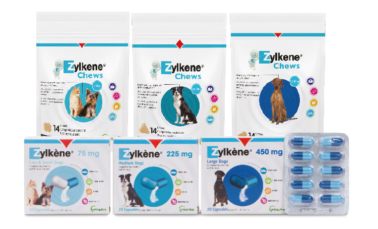 zylkene for cats pets at home