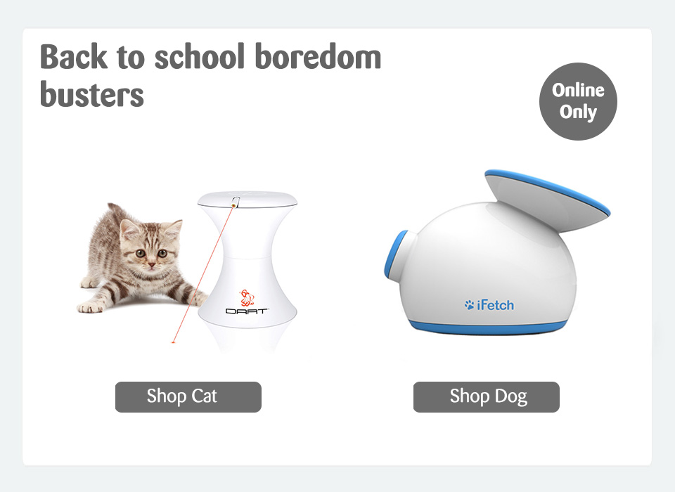 pets at home boredom breakers