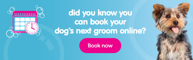 The Groom Room Local Pet Dog Grooming Services At Pets At