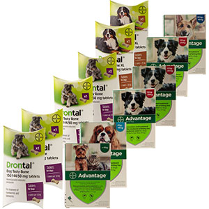 drontal puppy wormer pets at home