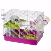 hamster price pets at home