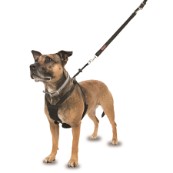 dog seat belt harness pets at home