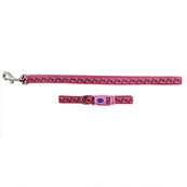 small puppy collars and leads