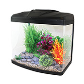 Fish tanks for 2025 sale pets at home