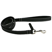 dog leads at pets at home