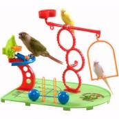 Bird Toys | Perches \u0026 Cage Accessories 