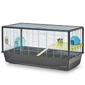 hamster house pets at home