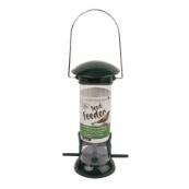 bird feed pets at home