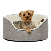 Dog Beds | Free In-store Collection 