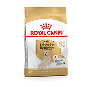 Royal canin 2024 labrador 3kg