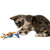 pets at home kitten teething toys