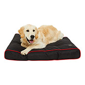 3 Peaks Mucky Paw Dog Mat Grey