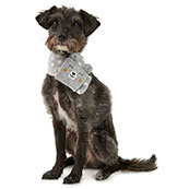 dog neckerchief pets at home