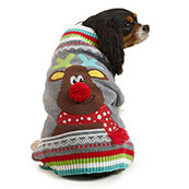 Christmas Presents for Dogs | Pets at Home