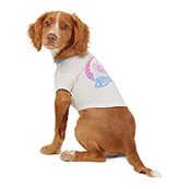 Medical pet shirt hotsell dog pets at home