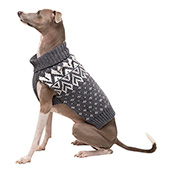 cool coats for dogs pets at home