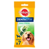 dog toothbrush pets at home