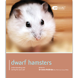 buy hamster pets at home