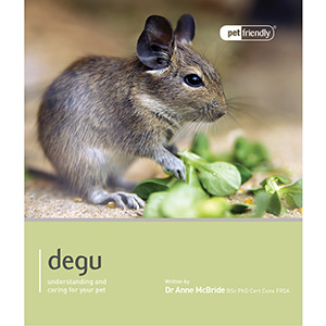 degu pets at home