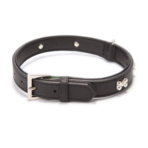 Pets at sales home leather collar