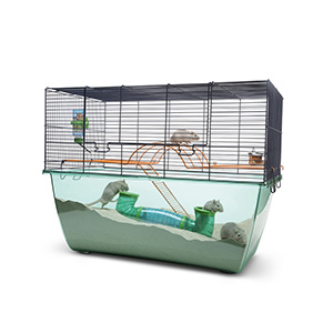 dwarf hamster cages pets at home