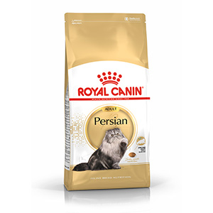 royal canin maine coon kitten 10kg