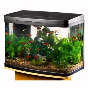 Love Fish Panorama Tank 40 Litre | Pets 