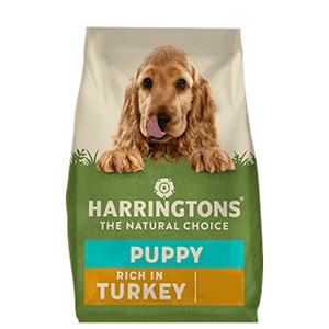 harringtons puppy food pets at home