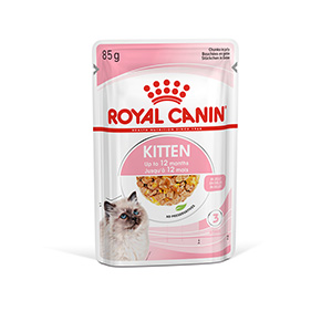 pets at home kitten food