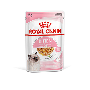 pets at home royal canin kitten