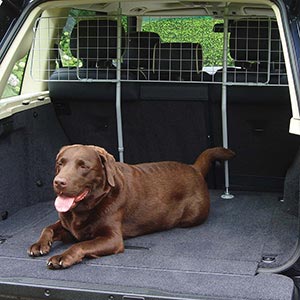 Rosewood Dog Car Guard | Pets At Home