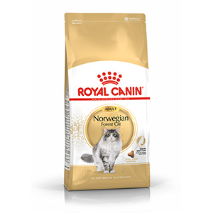 Royal canin siamese cat hotsell food 10kg