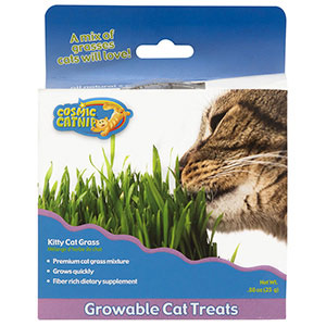 Catit Dried Catnip and Silverine Mix for Stimulating Indoor and Outdoor Cats