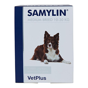 Samylin 2025 medium dog