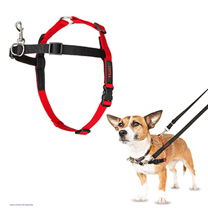 Trixie harness hot sale pets at home