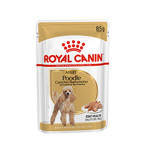 toy poodle wet food