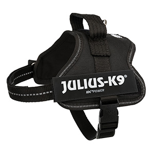 Julius dog harness pets at sale home